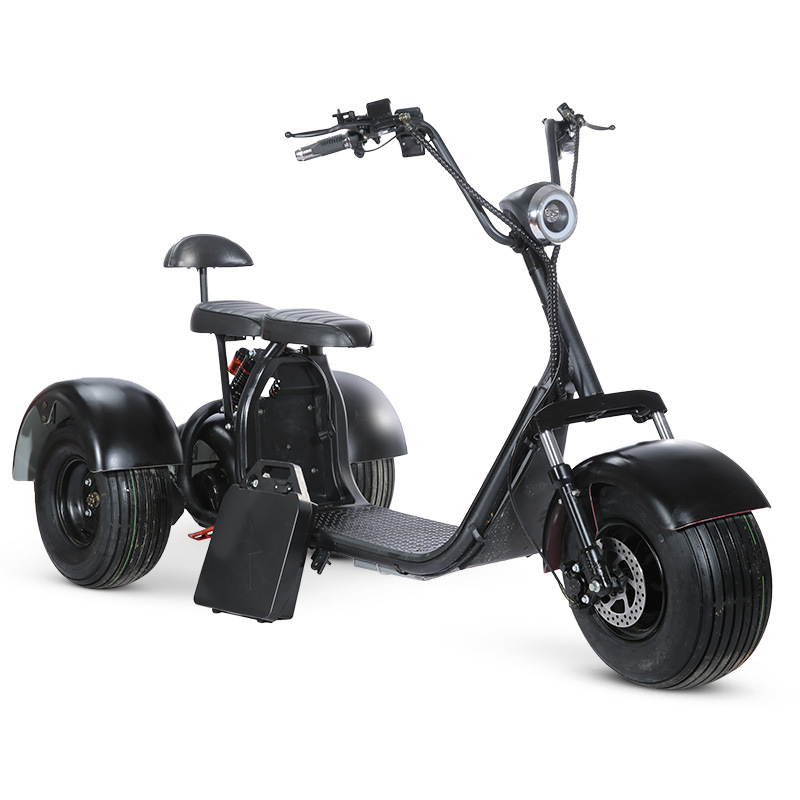 Smarda customized citycoco electric 3 wheel mobility scooter with 2 seats for adult