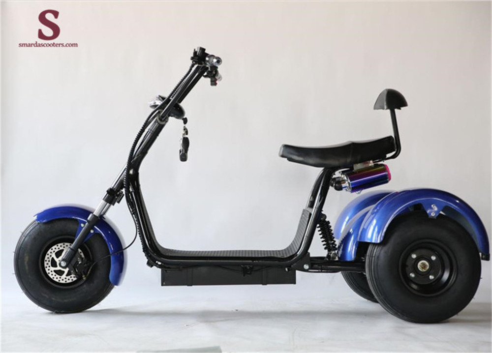 Three Wheels Big Tire Trike Adult Tricycle Citycoco 3 Wheel Electric Scooter 1500W/2000W Fat Bike Tire