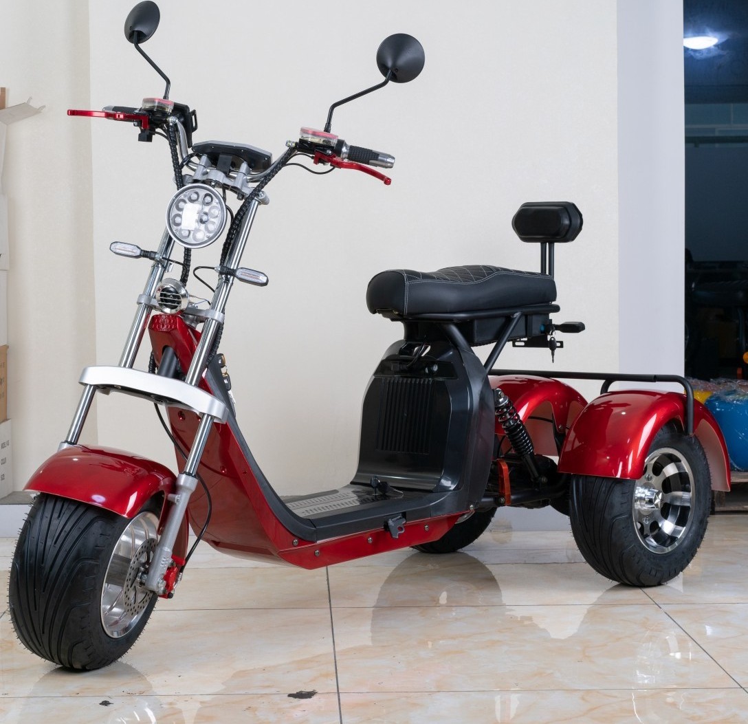 2023 Powerful citycoco 3 wheels electric golf scooter three  wheels mobility scooters for adult