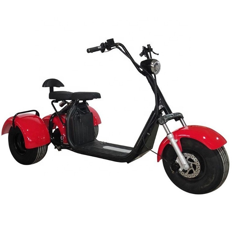 Smarda customized citycoco electric 3 wheel mobility scooter with 2 seats for adult