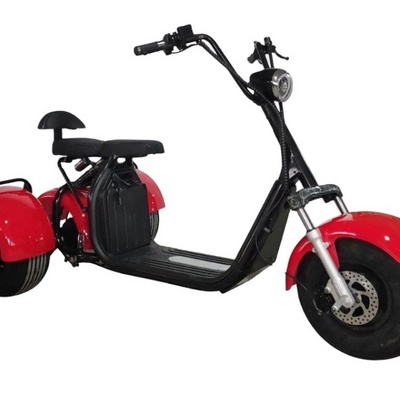 ecorider gas titanium bar mx60 scooter livraison electric citycoco sidecar 84v electrique 3600w motorcycles scooters 1s