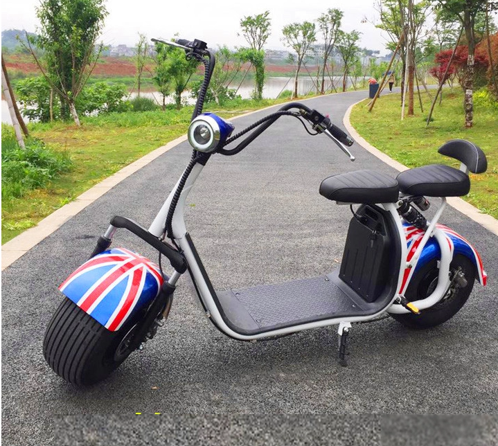 Moped Electric 14