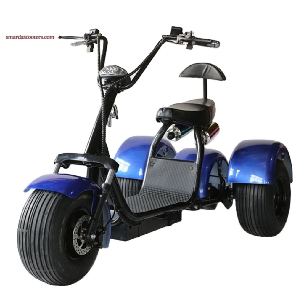 Three Wheels Big Tire Trike Adult Tricycle Citycoco 3 Wheel Electric Scooter 1500W/2000W Fat Bike Tire