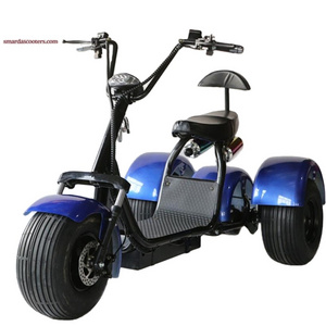 Three Wheels Big Tire Trike Adult Tricycle Citycoco 3 Wheel Electric Scooter 1500W/2000W Fat Bike Tire