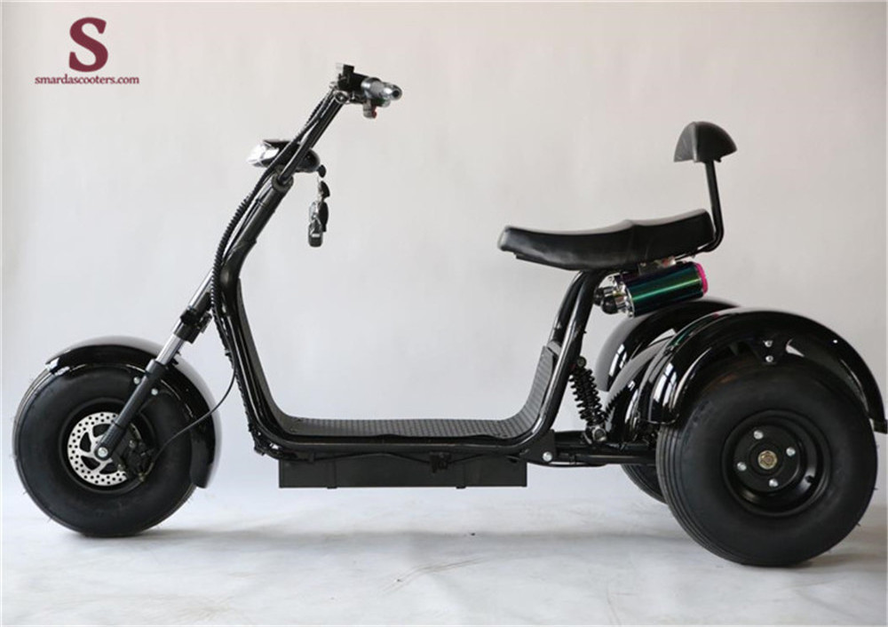 Three Wheels Big Tire Trike Adult Tricycle Citycoco 3 Wheel Electric Scooter 1500W/2000W Fat Bike Tire