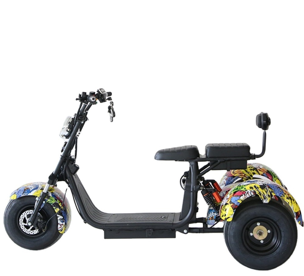 three wheels electric mobility scooter 3200w 5000w in india self-balancing electric scooters citycoco 60v30ah