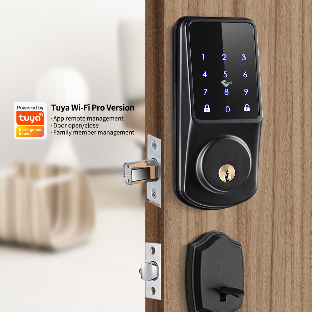 2023 Tuya Wifi Front Door Outdoor TTlock APP Touchpad Electronic Keyless Entry Locks Remote Control Deadbolt Smart Lock