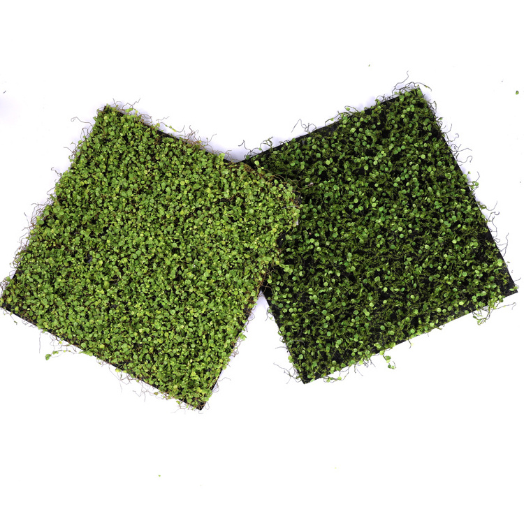 High quality eco-friendly Artificial grass mat 50*50cm rag turf indoor outdoor