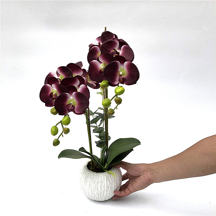 10Heads Artificial Flower Butterfly Orchid flower Artificial Bonsai Phalaenopsis Orchid plant Set Real Touch flower