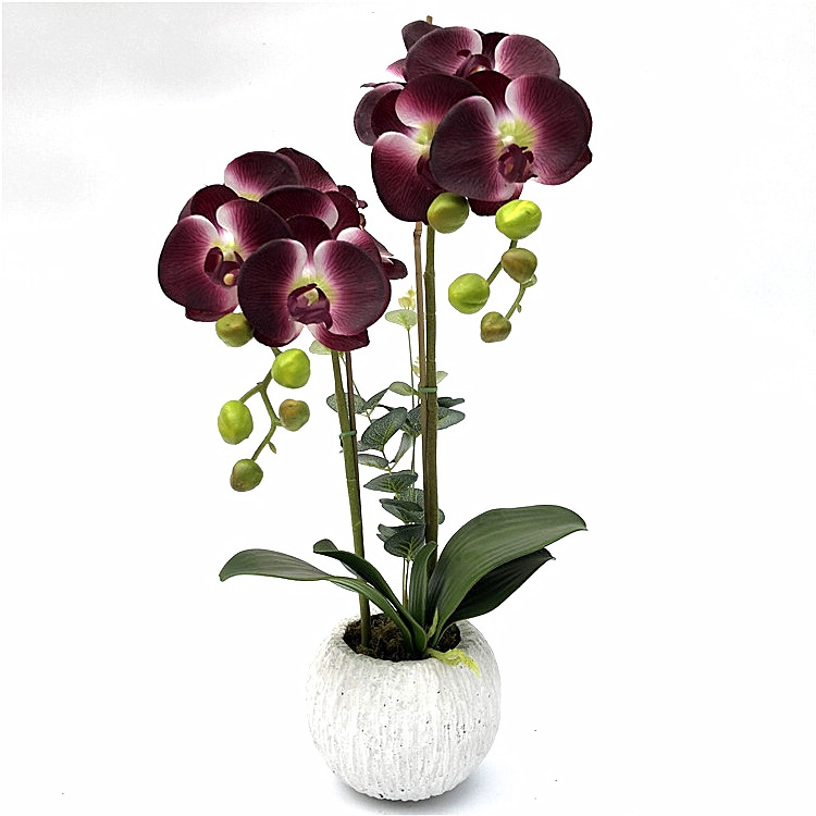 10Heads Artificial Flower Butterfly Orchid flower Artificial Bonsai Phalaenopsis Orchid plant Set Real Touch flower