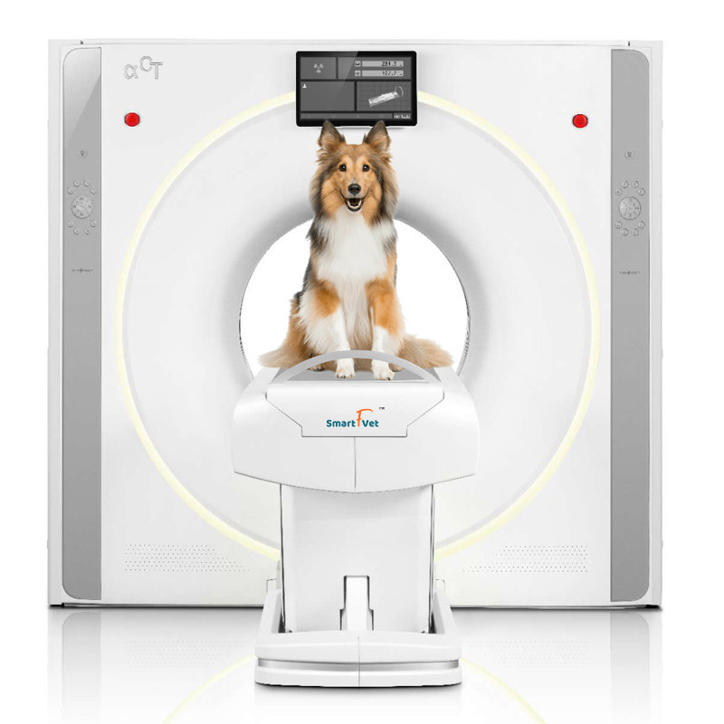 Veterinary CT Scan Computed Tomography Scanning Machine