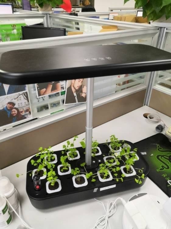 New pots with 12 Pods Intelligent Flower Garden Hydroponic Growing System LED Screen Touch Panel Control Smart Garden