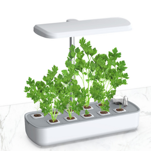 New pots with 12 Pods Intelligent Flower Garden Hydroponic Growing System LED Screen Touch Panel Control Smart Garden