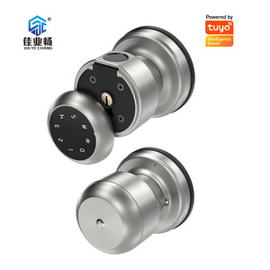 wifi remote control Biometric Fingerprint Round Knob door handle ttlock deadbolt keypad door lock tuya smart door lock