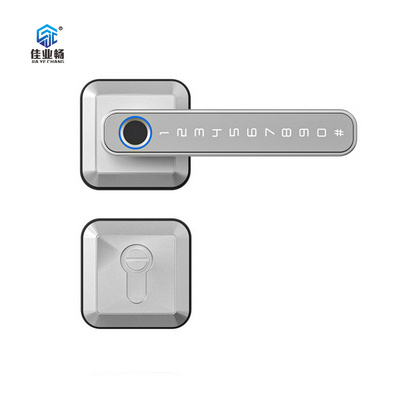 JEC Electronic Biometric Intelligent Home Fingerprint Password Handle Lever Smart Door Lock