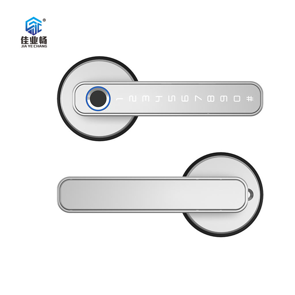 TTLock Fingerprint Lock Level Fingerabdruck Turgriff Smart Lock Phone APP Control Door Handle