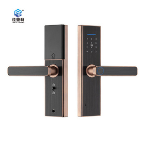 Tuya Wifi TTlock Anti-theft door lock smart Fingerprint smart face recognition door lock for hotel and household