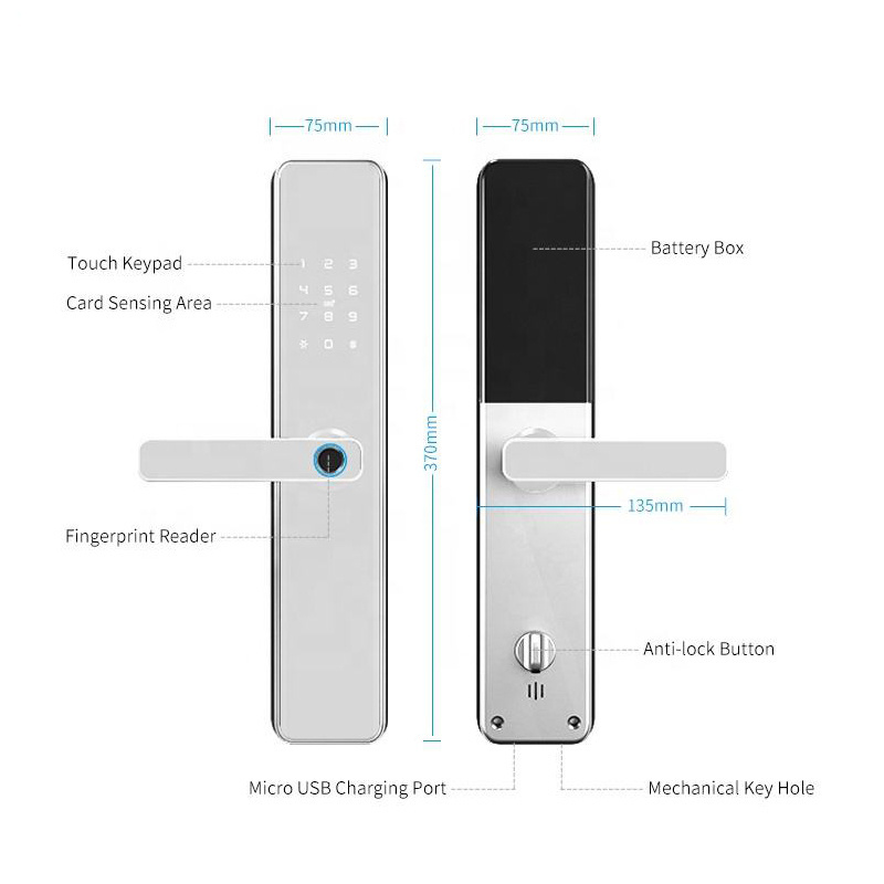 Gold Supplier Electronic TTlock Fingerprint Exterior Keypad Front Door Locks Set With Cylinder And Handles