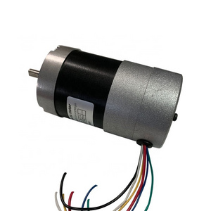 24v Brushless DC Lawn Mower Electric Motor, for Grass Cutter and Garden machinery