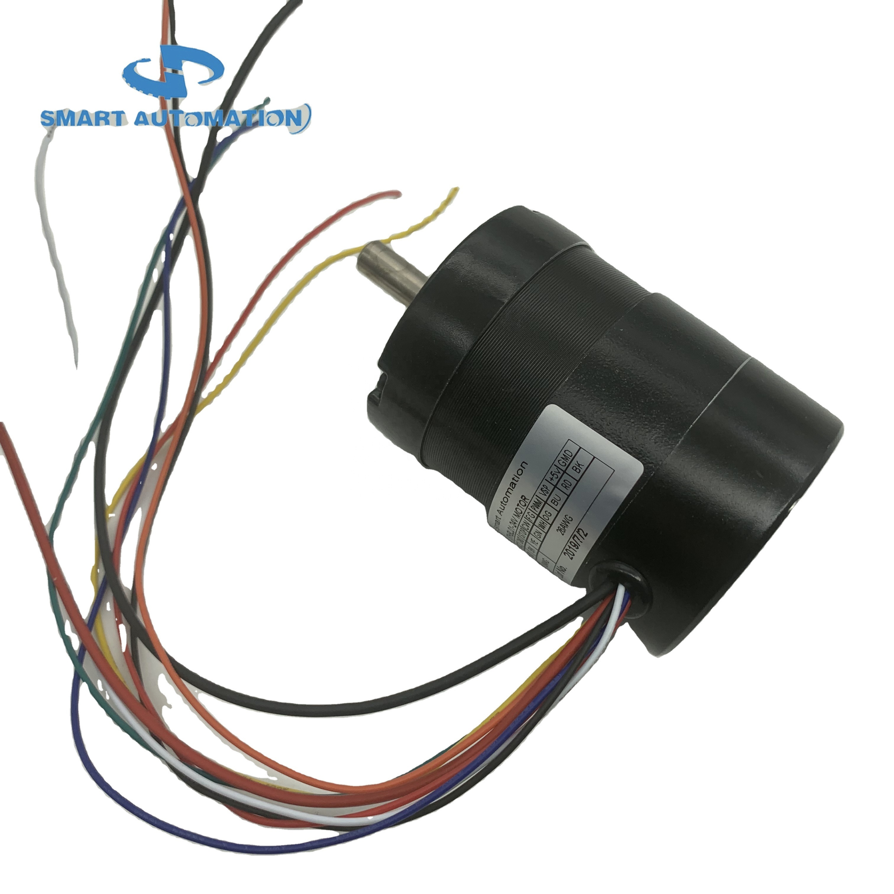 24v Brushless DC Lawn Mower Electric Motor, for Grass Cutter and Garden machinery