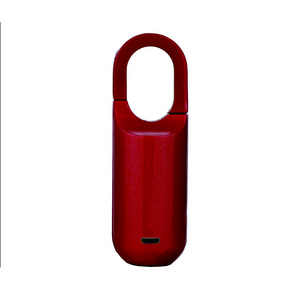 High Quality Keyless Fingerprint Padlock Electric Gate Lock/Padlock Fingerprint