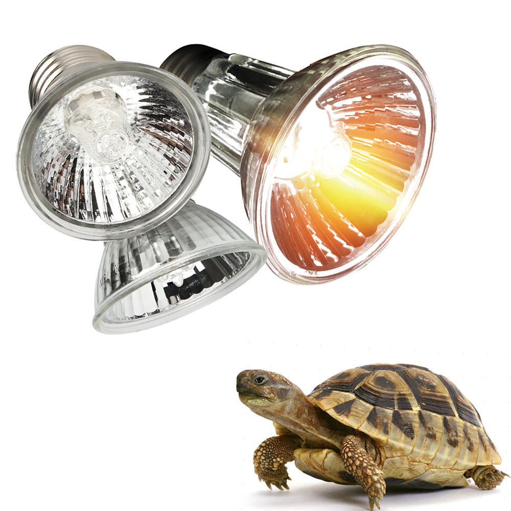 Reptile Heating Assembly Halogen Lamp Heating Lamp For Climbing Pets 25W 50W 75W Halogen Bulb