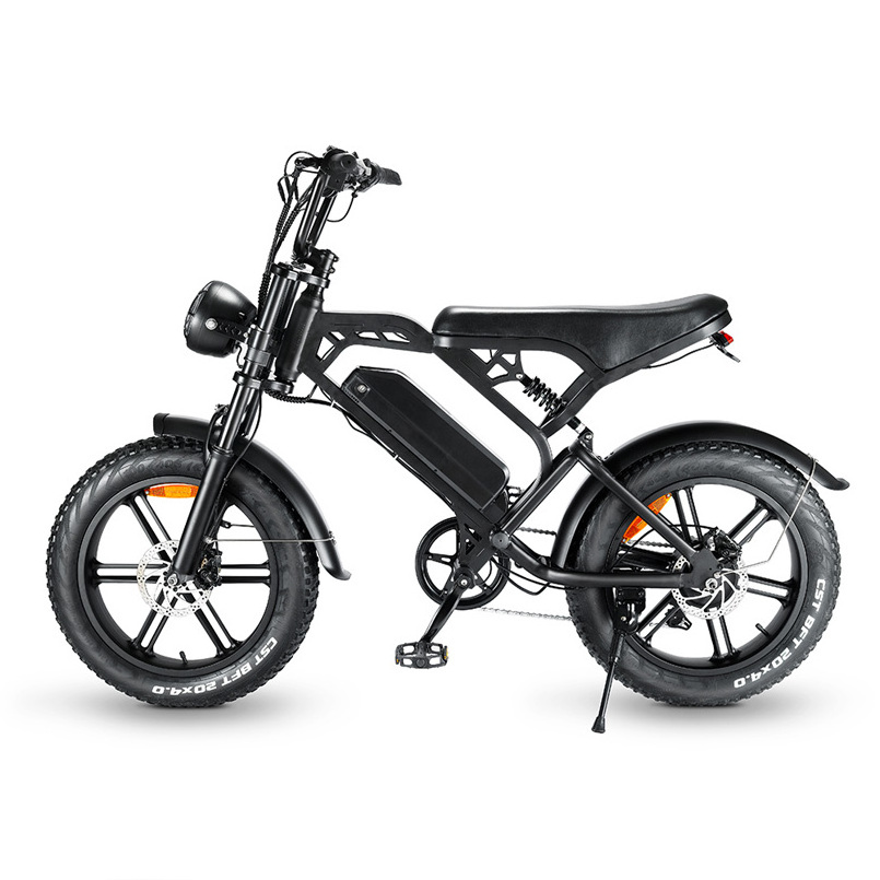 Off-road Dual Motor Steel OEM Tamobyke Warehouse Factory Electric Bike 250w Mountain Mini Electric Dirt Bike Adult 48V V20 15 Ah