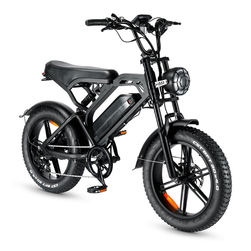 EU Stock]2 Wheels Fat Tire Electric Moped Citycoco Chopper Bike USA 250w/500w/750w/1000w 48v High Speed 25-60km/h Steel OEM V20