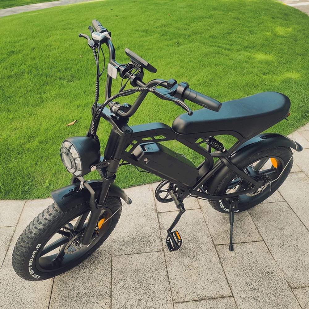 European Warehouse Cheap E Bike V20 Fat Tire Electric Bike Folding Electronic Bicycle 20inch 48V 750W Steel Customized Logo OEM