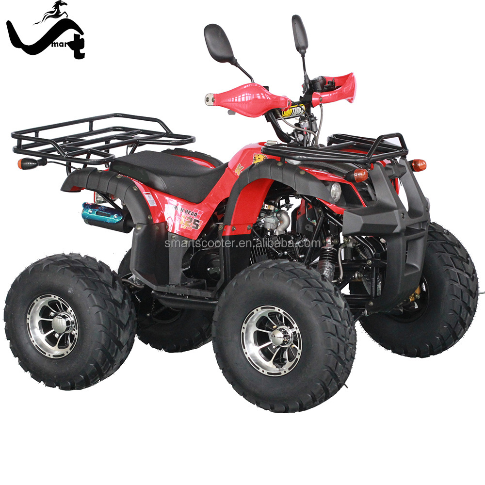 Hot sale 110cc 4 stroke raptor mini atv