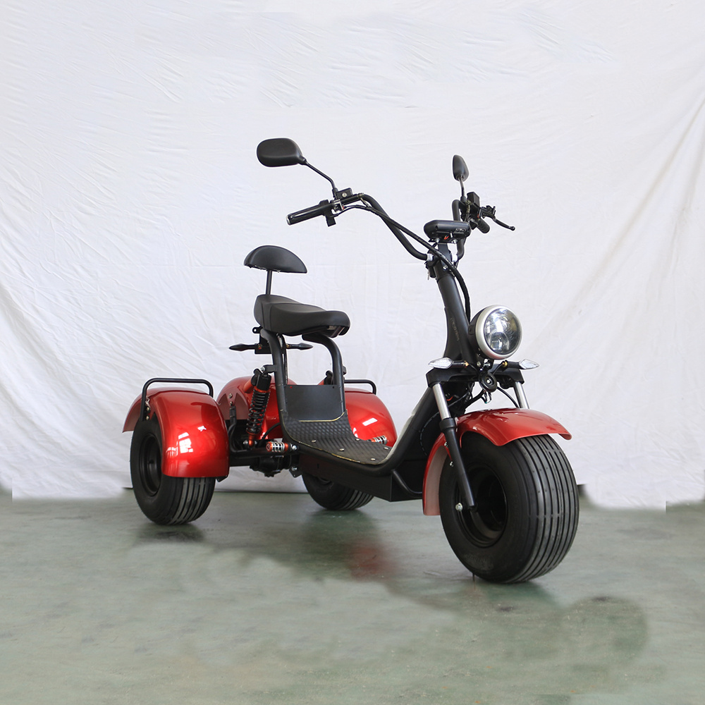 Professional series 1000w citycoco electric scooter 60v 4 speed accelerator 3 wheels fat tire citycoco electric scooter