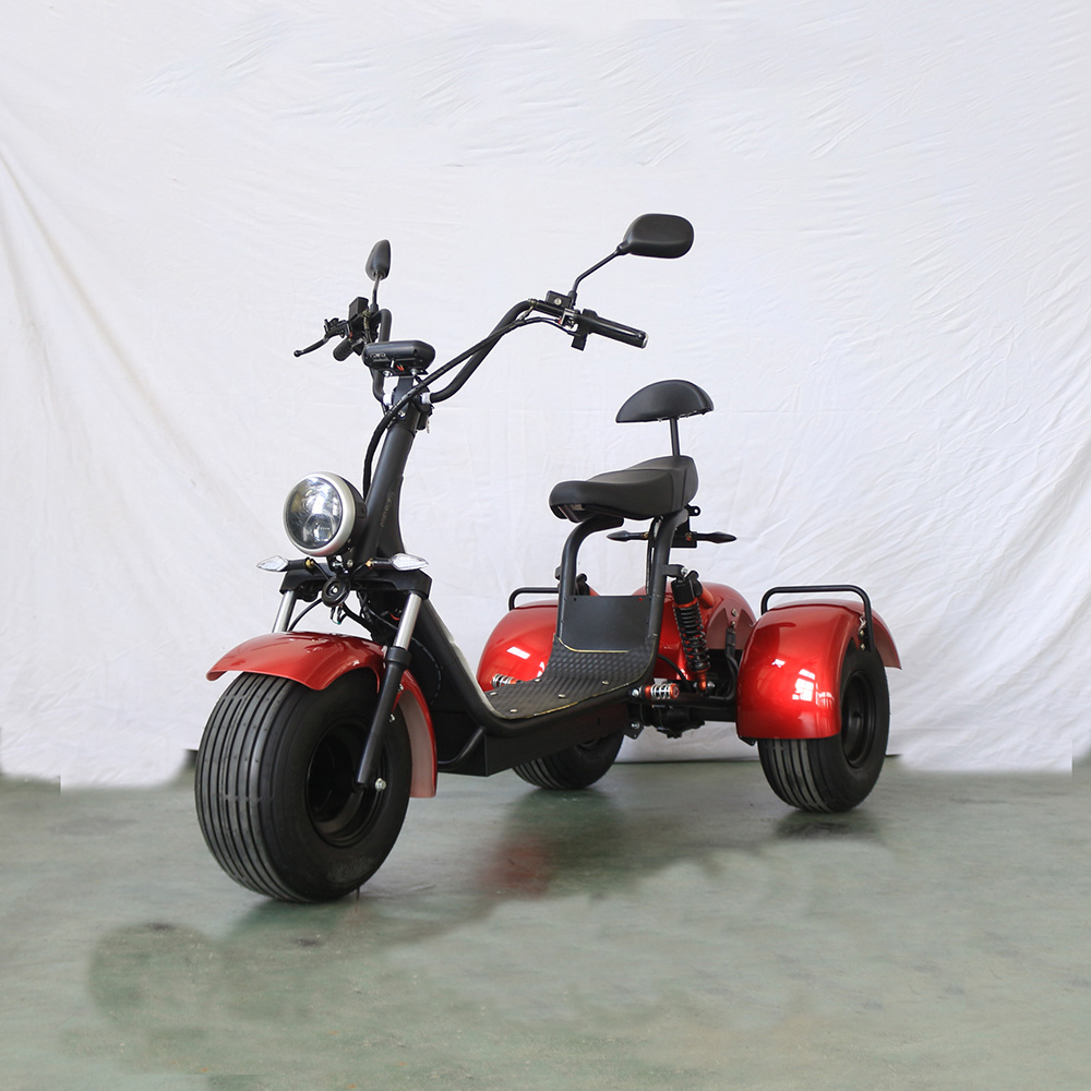 Professional series 1000w citycoco electric scooter 60v 4 speed accelerator 3 wheels fat tire citycoco electric scooter