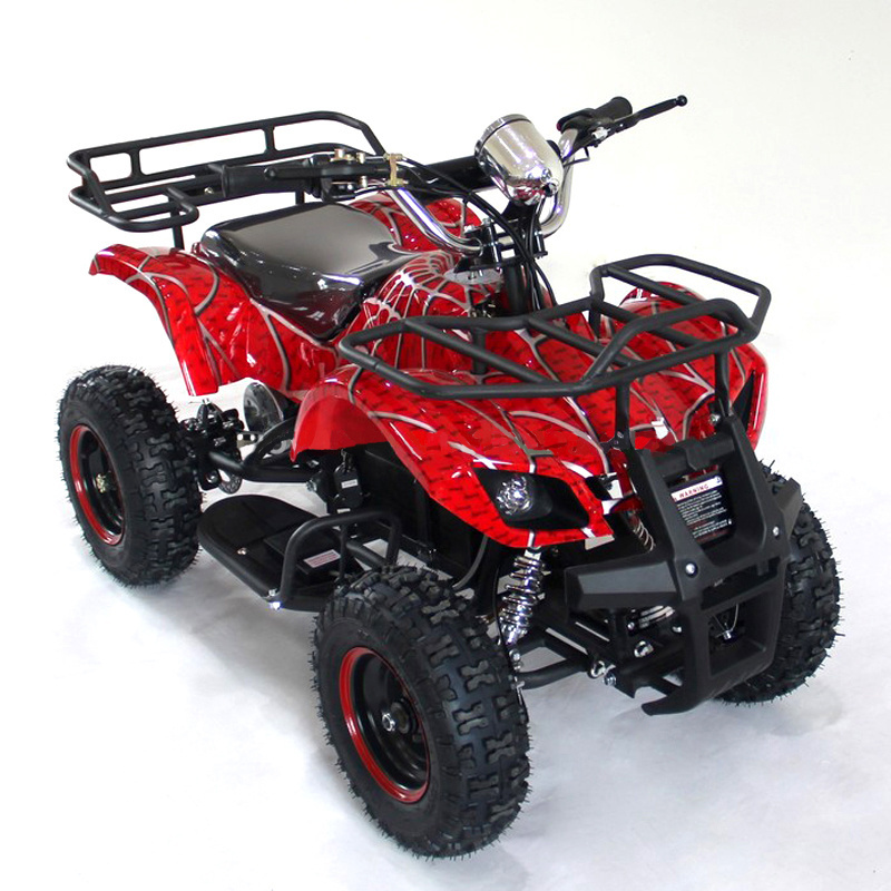 Professional 49cc 2 Stroke Mini Gas Power Car for Kids ATV