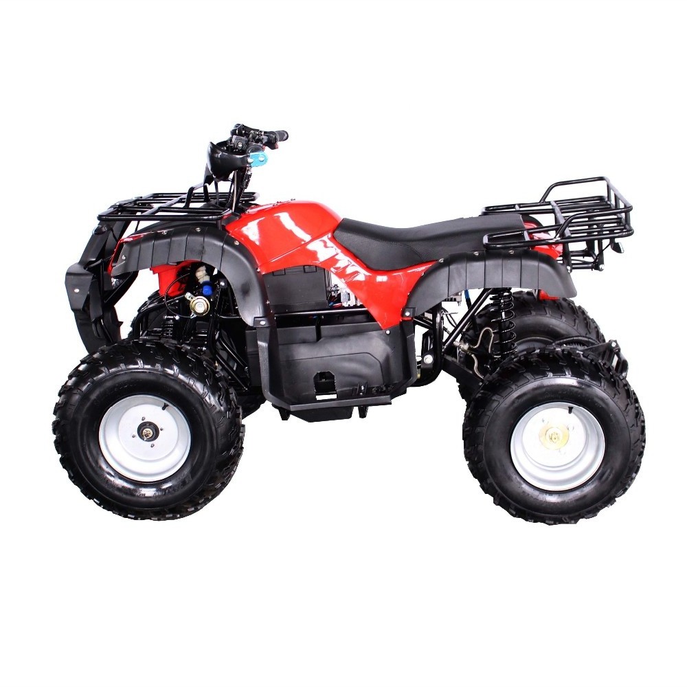 Professional 49cc 2 Stroke Mini Gas Power Car for Kids ATV