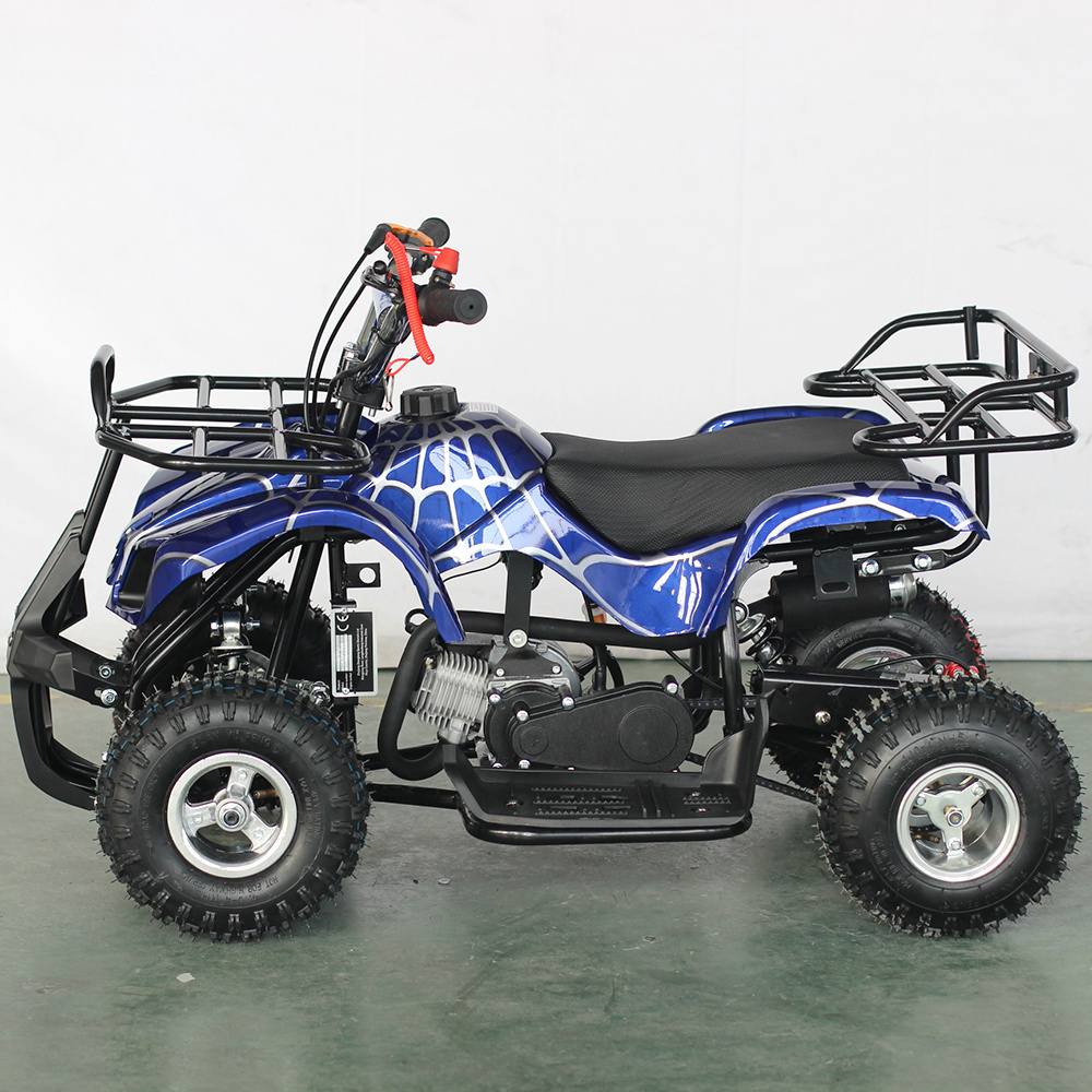 49CC 50CC 2-Stroke Mini Quad Bike ATV For Sale