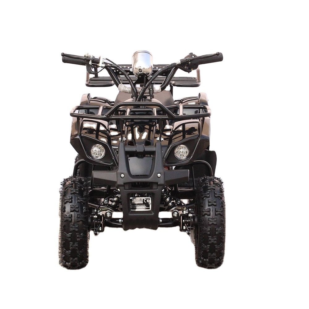 Mini kid 800watt electric atv for sale in zhejiang