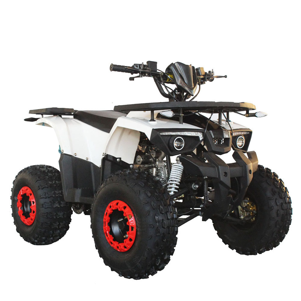 High cost performance motor bike 125cc quad atv for adult