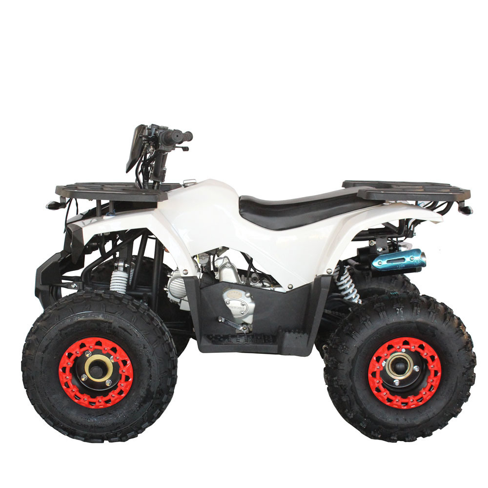 High cost performance motor bike 125cc quad atv for adult