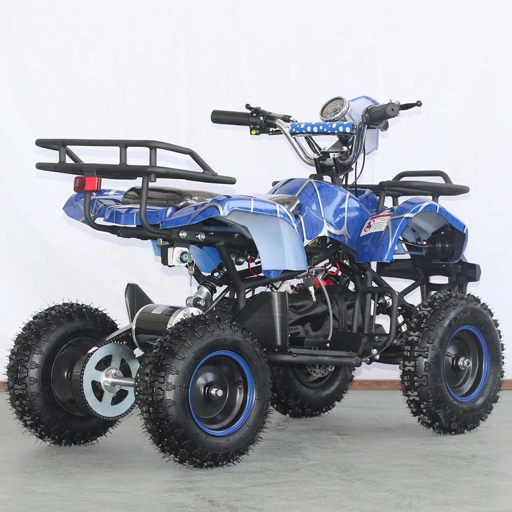 Mini Kids Atv 500W Electric Quad Fit 14 Years Kids