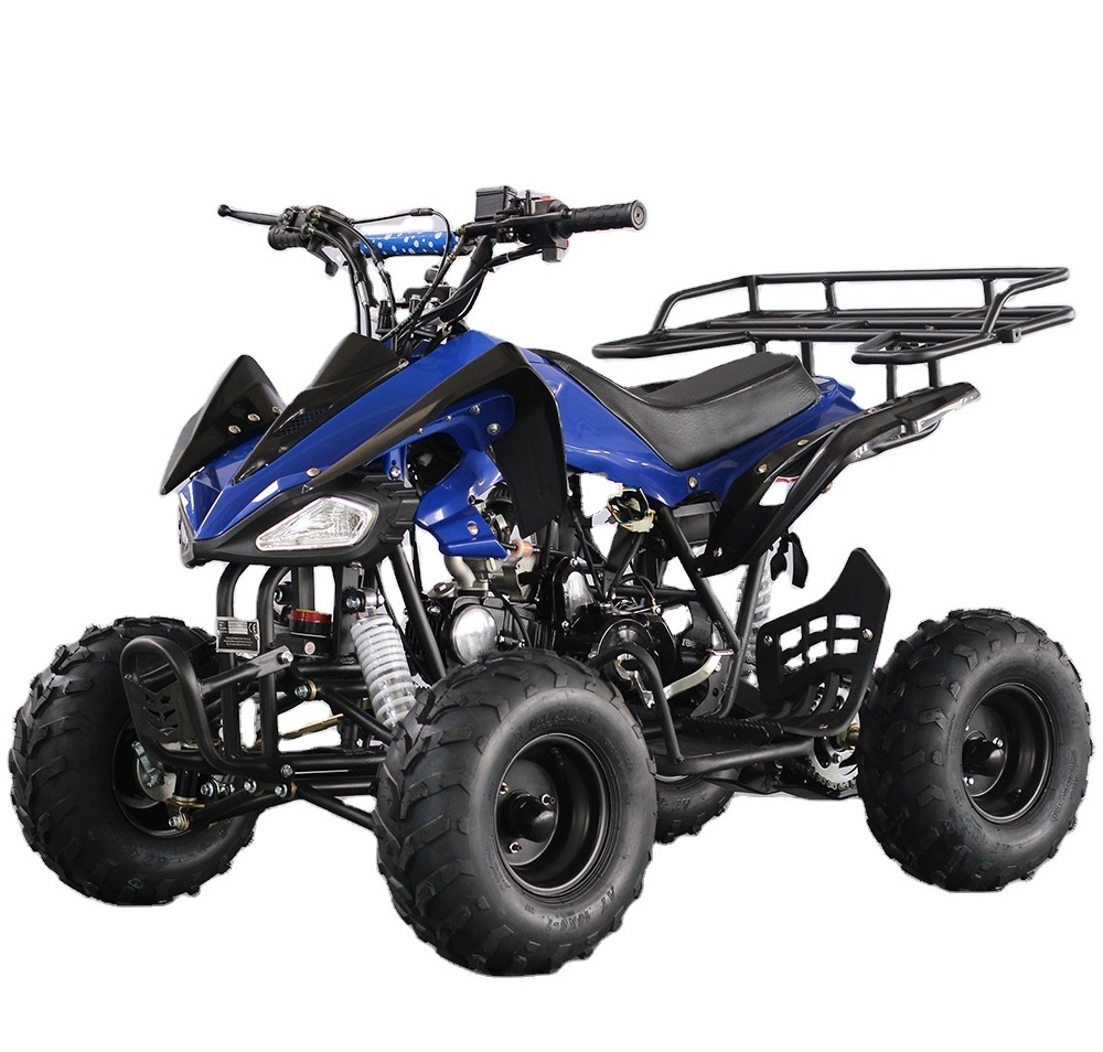 Factory supplied 110cc 125cc automatic quad 4x4 atv