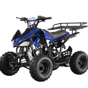 Factory supplied 110cc 125cc automatic quad 4x4 atv