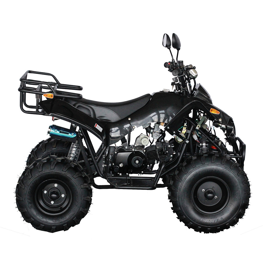 Quad 125CC ATV Quad Bike Four Wheelers ATV