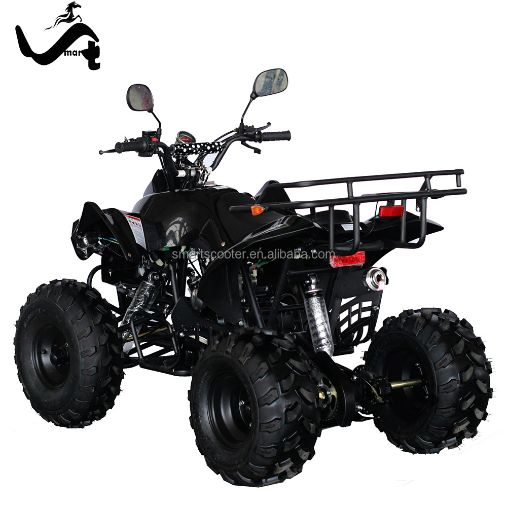 Hot sale 110cc 4 stroke raptor mini atv