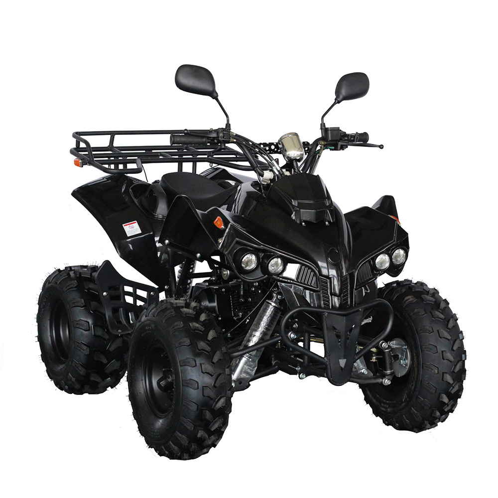 Quad 125CC ATV Quad Bike Four Wheelers ATV