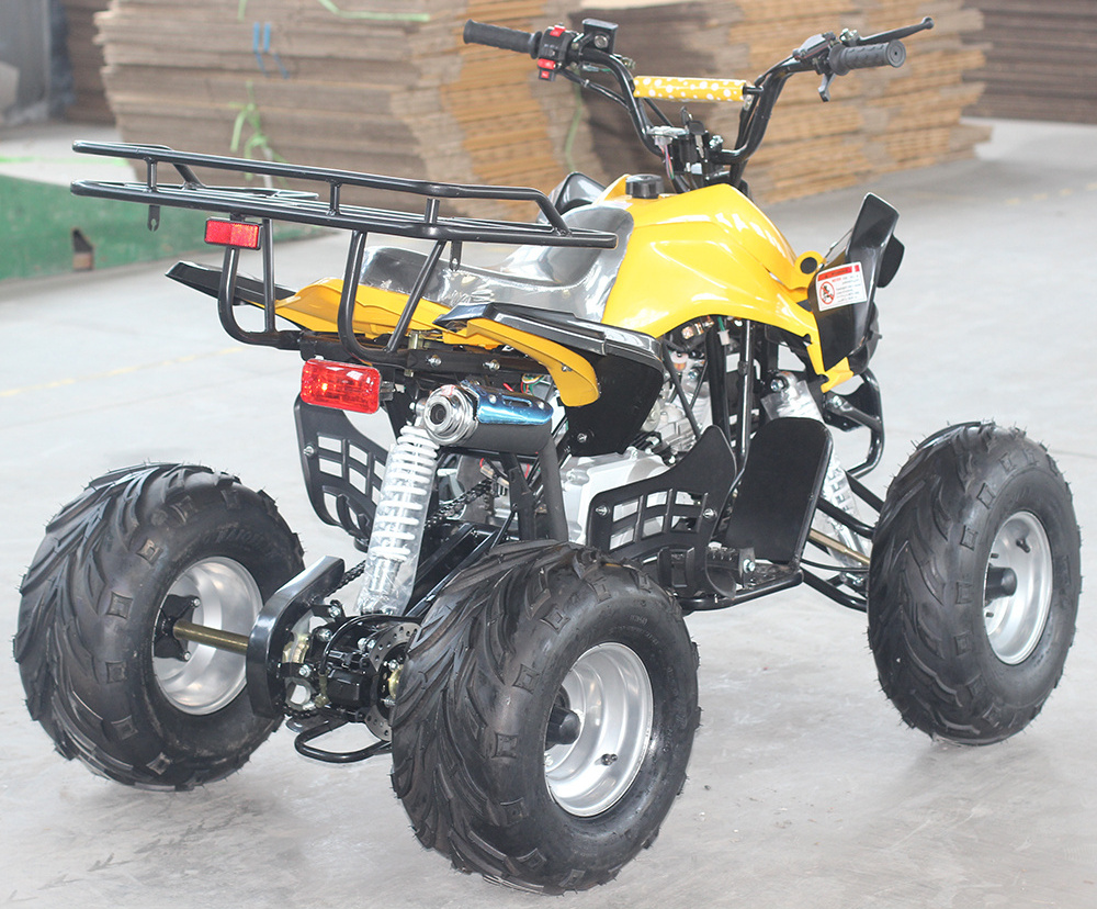 Teens Semi Automatic Sports 80CC 110CC ATV With Reverse Gear