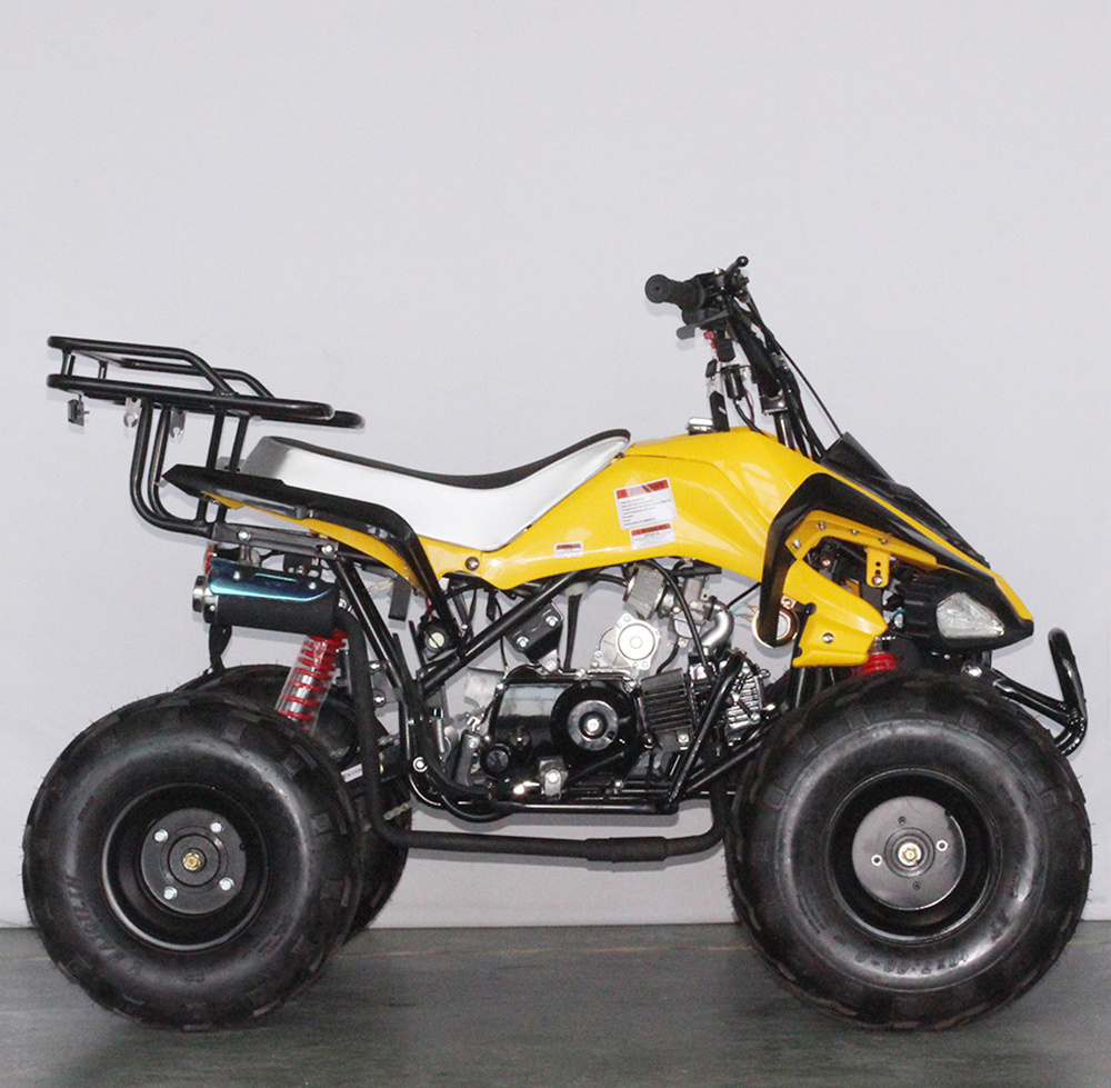 New cheap kids side by side  quad atv 110cc