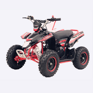 Chinese Old Quad Bike 49CC Mini 2-Stroke Motors ATV For Sale