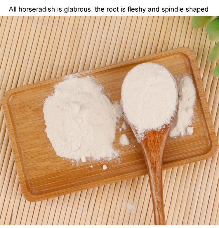 China Dehydrating Vegetables Factory Wholesale Good Price Dried Horseradish Powder