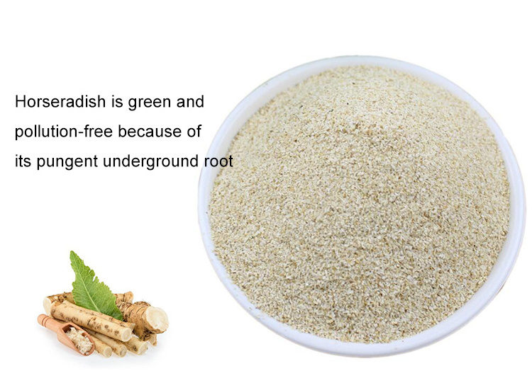 China Dehydrating Vegetables Factory Wholesale Good Price Dried Horseradish Powder