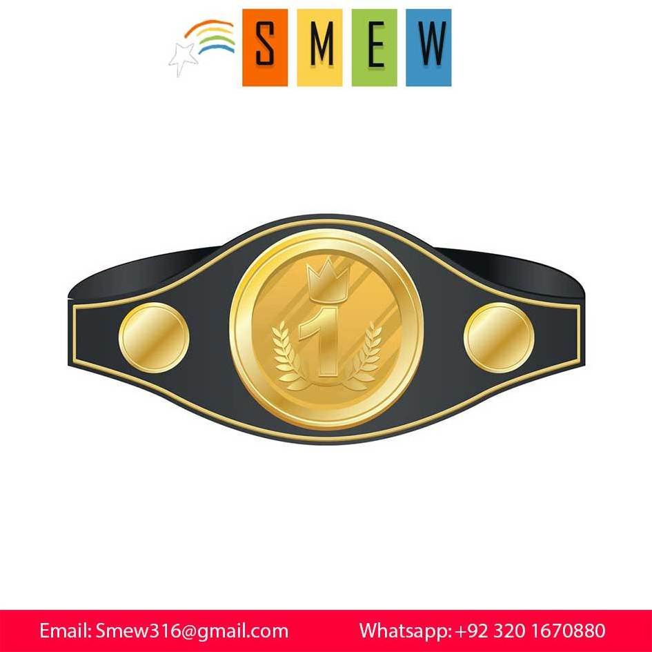 Heavyweight Popular Championship Belt Custom Wrestling UFC MMA WBC Boxing Professional Manufacturer Belts